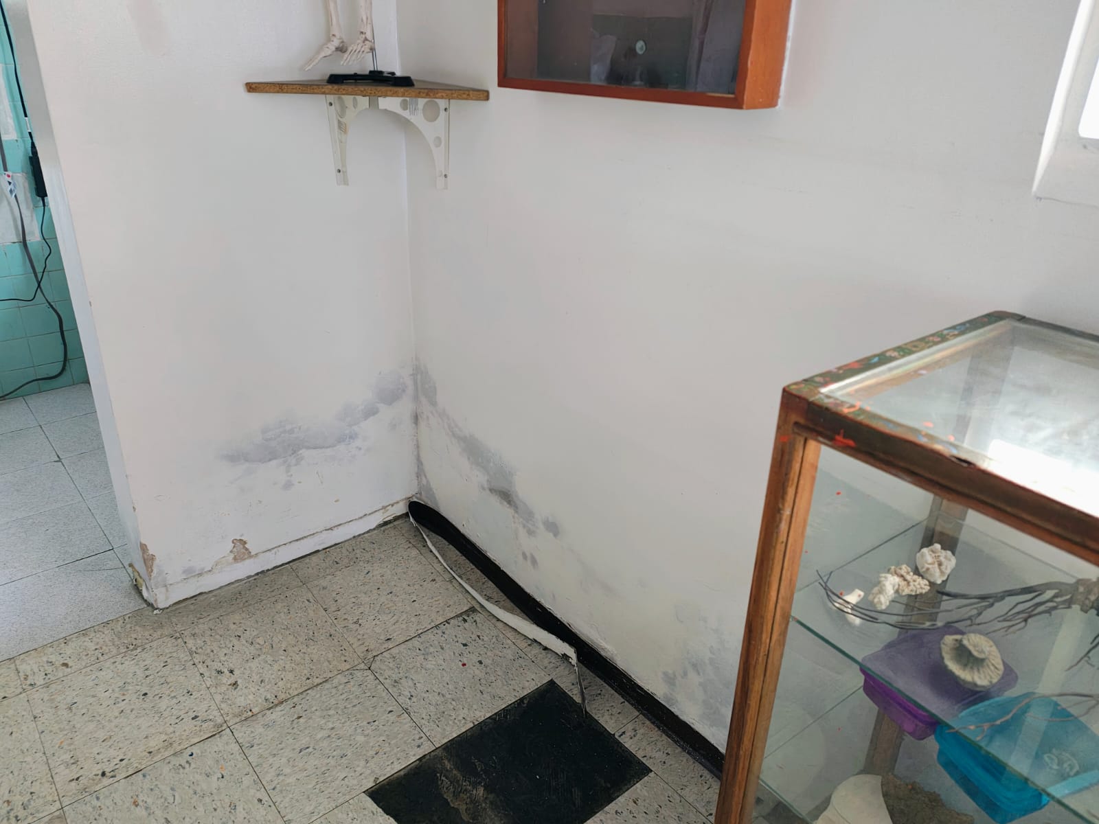 Visita Secretaría de Salud — fotografía 3